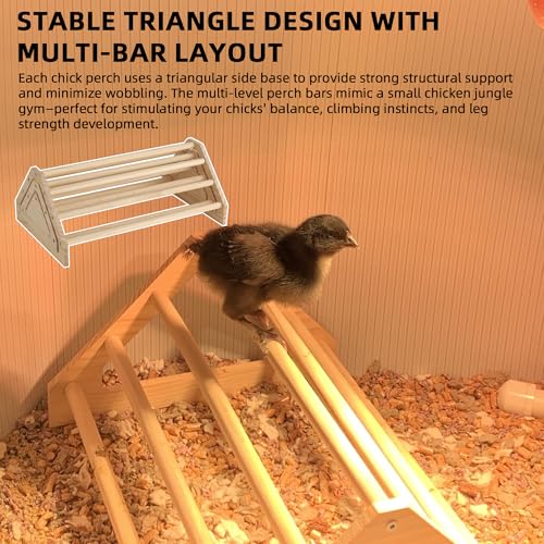 TonGass 3-Pack 15.75" Extra Long Chicken Perch | Freestanding Roosting Bar for Baby Chicks, Durable Polished Pine Roosting Bar, Perch Stand for Chicken Brooder