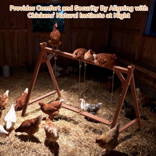 PETSFIT Wooden Chicken Perch with 2 Swings for 6-8 Chickens, Easy Assembly | Solid Fir Wood,Chicken Roosting Bars for Backyard Farms and Coops, Promotes Natural Perching, Easy to Clean - size: 50"L x 30"W x 34"H