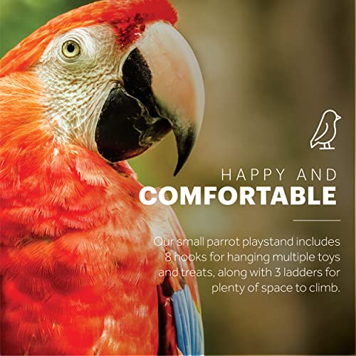 Prevue Pet Products Small Parrot Playstand with Wheels, Bird Stand Activity Play Center with Perches and Ladders, Indoor Outdoor Playground for Birds with Swing, Black Hammertone Finish - size: Small
