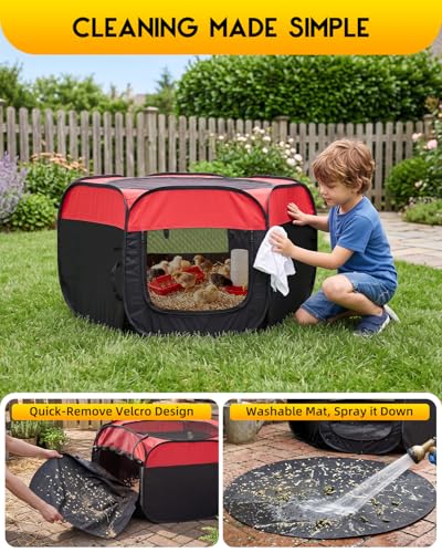 Magicfly Brooder Box for Chick, Chicken Brooder Box Holds up to 15 Chicks | Pop-Up Brooder Box for with Dual Doors, Chicks Starter Kit Includes Chicken Feeder, Waterer, Perch - color: Basic Starter Kit