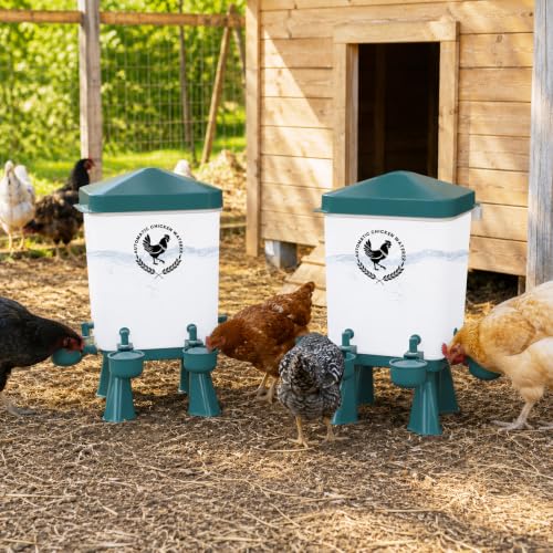 2 Pack 3 Gallon Chicken Waterer with 10 Chicken Water Cups, Poultry Waterer with Stand Legs, Hooks and Screws, Chicken Water Feeder for Coop, Ducks, Hens, Farm, Backyard Chickens (Blue) - color: Blue, size: 2pcs