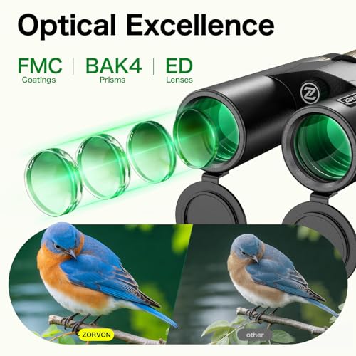10x42 HD Binoculars for Adults, High Powered Binoculars with BAK4 Prism, Low Light Vision, Easy Focus, Waterproof Binoculars with Large Eyepiece for Bird Watching, Alaska Cruise, Hiking, Hunting - color: Black