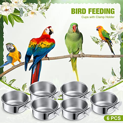 6 Pack Bird Feeding Bowls Cups, Parrot Food Water Dishes Stainless Steel Bird Food Bowls with Clamp 10oz Birds Water Feeder for Parakeet Conure Cockatiel Lovebird Budgie Chinchilla Small Animal