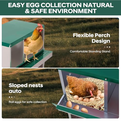 Garvee Chicken Nesting Box, 6 Compartments Nesting Box for Chickens, Galvanized Steel Chicken Laying Box for Easy Egg Collection, Wall Mounting - color: Green | 6 Compartments+legs