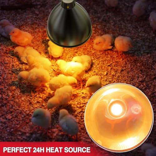 Chicken Brooder Box Starter Kit, 10.6 ft³ Indoor Brooder for Chicks, Ducklings & Quail, Stainless Steel Frame, Waterproof Oxford, 75W Heat Lamp, Feeder, Waterer & Perch, 47.2"x19.7"x19.7" - color: Set2-Grey