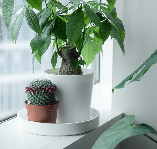 Phoenix Vine 10 Inch Plastic Plant Saucer Water Drip Tray, Heavy Sturdy Round Plant Drainage Tray for Indoors Outdoor, Matte White, 21-TY-10W-1 - size: 10"