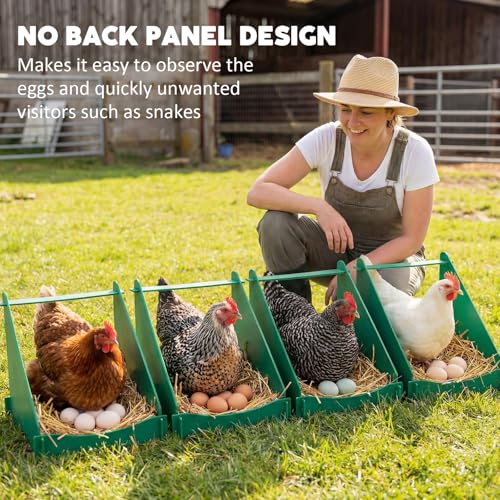 Novabright 6 Pack Chicken Nesting Boxes for Laying Eggs Big Laying Nest Box for Hens Ducks and Poultry, Green