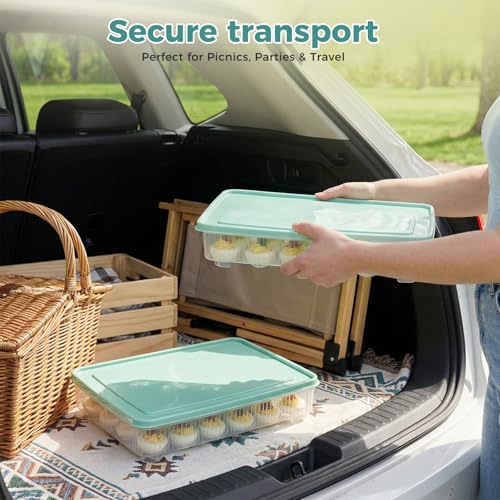 HAKSEN Deviled Egg Containers with Lid, (Set of 2), Deviled Egg Holder Tray Carrier for Refrigerator with 48 Holes, Fridge Stackable Kitchen Portable Countertop Storage