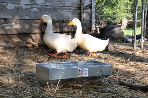 Little Giant® Duck Feeder - Galvanized Steel with Feed Saver Grid - Heavy Duty Metal Feeder Designed for Ducks - Made in USA (40 Inch) - size: 40 Inch
