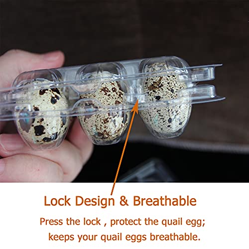 Quail Egg Cartons 100 Pack,Plastic Quail Egg Holder 12 Tray of Small Quail Eggs Storage Holders,Cheap Bulk Quail Egg Container for Refrigerator