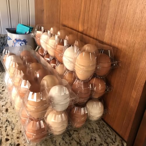 FUNSUEI 50 Pack Plastic Egg Cartons Bulk, 12 Egg Reusable Egg Cartons, Empty 1 Dozen Chicken Egg Tray Holders Clear Refrigerator Eggs Cartons Bulk for Storing, Gifting, Selling, Displaying