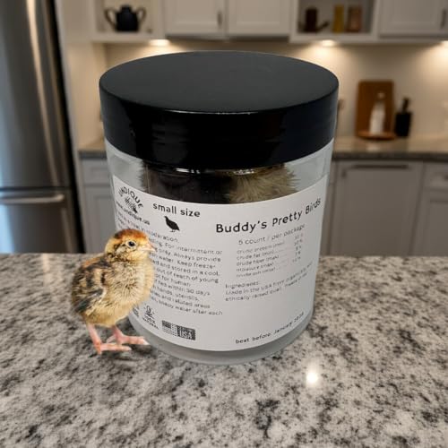 Undique Whole Quail for Carnivore Pets - Premium Quality Natural Pet Treats - Natural Prey Feeding - Freeze-Dried for Essential Nutrients and Enzymes - Quality Protein Source Small Size 5 Count