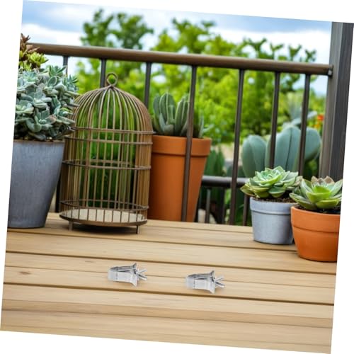 Yardwe 3pcs Bird Food Clips Practical Fixed Clip for Parrot Vegetable Fruit Holding for Bird Cages Suitable for Parakeets Canaries and Animals