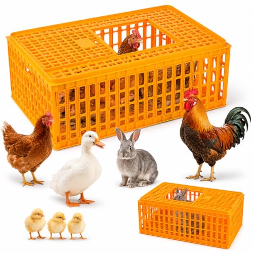 4 Pcs Poultry Carrier Crates, 29 x 21 x 13 in | Sturdy ventilated plastic transport boxes for chickens, ducks, geese, birds, farms, backyard coops, and hatcheries