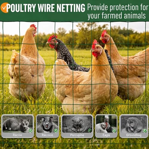 Gisafai 16 Gauge Galvanized Welded Wire Fence 2 ft x 100 ft PVC Coated Hardware Cloth, 2.36" x 2.36" Mesh, Heavy Duty Garden Fencing Roll for Chicken, Dog Yard, Deer Cattle & Animal Protection(Green) - color: Green, size: 2 ft X 100 ft