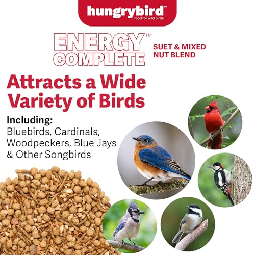 HUNGRYBIRD Energy Complete Diet, 7lb Mealworm Suet & Mixed Nuts | All-Season Feeding, Premium Wild Bird Food, No Waste, No Mess, Attracts a Wide Variety of Wild Birds