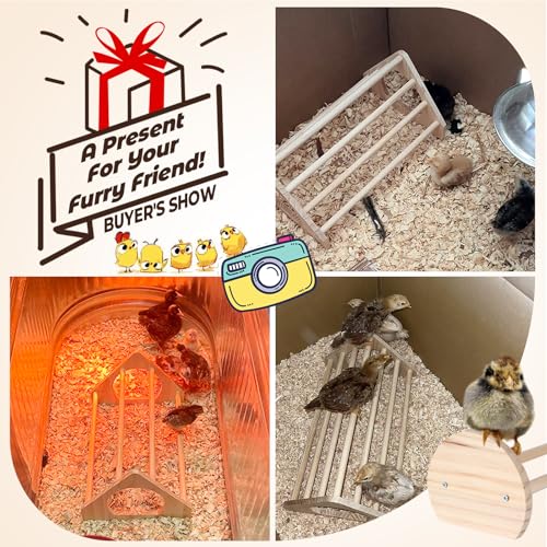 Chicken Perch 2-Pack, Heavy Duty Roosting Bars for Chickens in Coop, Large & Small Combo Set for Different Breeds, Non-Toxic Smooth Wooden Chick Perch for Poultry Resting