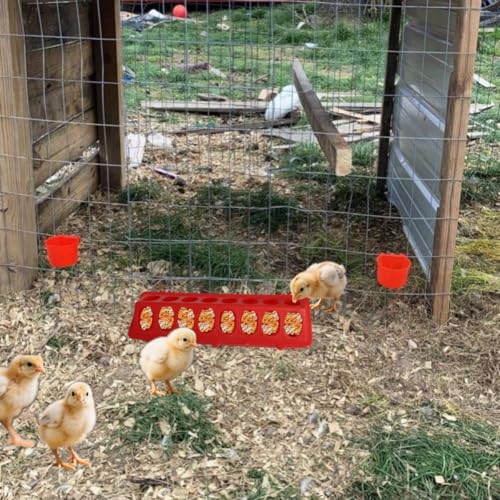 Quail Feeder, 4 Pack Chick Feeder No Waste, Poultry Feeder and Waterer Set, Flip Top Small Chick Feeders for Quail, Chicks, Duckling, Parrots, Birds, Pigeon Supplies