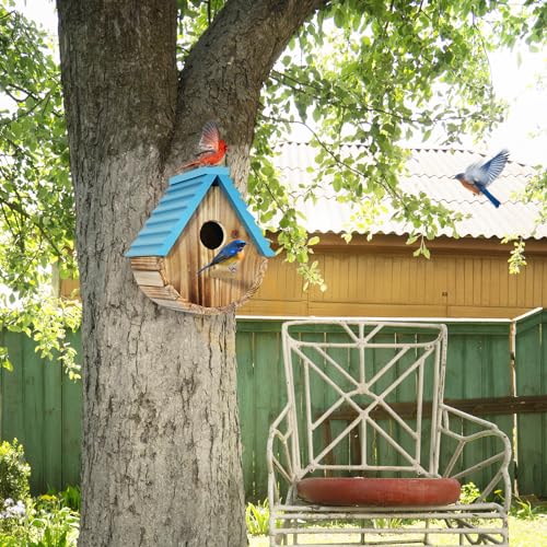 Auslar Bird Houses for Outside, Hanging Wooden Birdhouse for Outdoors, Blue | Bluebird House for Bluebirds Cardinals Finches Wrens Swallows, Bird Nesting Box with Perch & Hook, Garden Backyard Decor - style: Cylindrical