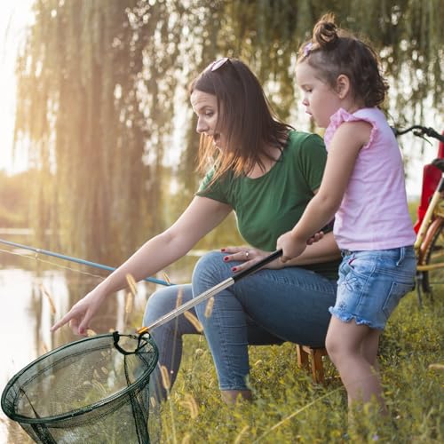 Kingrol Professional Butterfly Net with 12" Ring, 20" Depth, Extendable Handle to 59" - Durable & Lightweight Insect Catching Net, Stainless Steel & Polyester Build