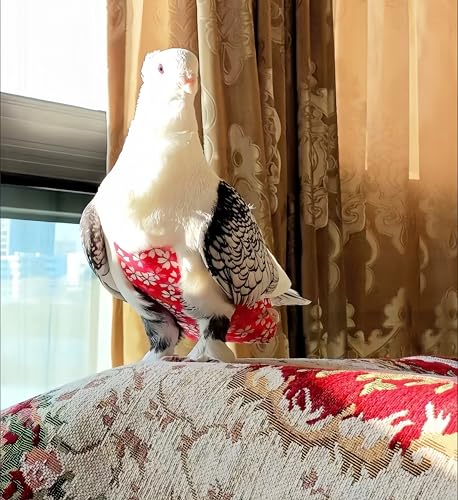 2 Pcs Bird Diapers Bird Harness Flight Suits Diapers with 80in Flying Leash Reusable Parrot Nappy with Waterproof Inner Layer for Cockatiel Budgie Conure Parakeet Lovebird-Red&Green