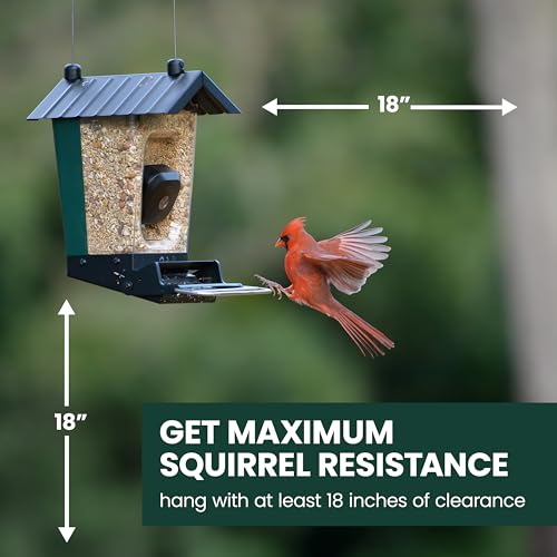 Perky-Pet SPCAM Perky-Pet Smart Bird Feeder with Camera - Squirrel-Resistant, 3.5 lb Capacity, Motion Activated 1080p HD, Wi Fi, SPCAM - Camera Feeder Gift Idea