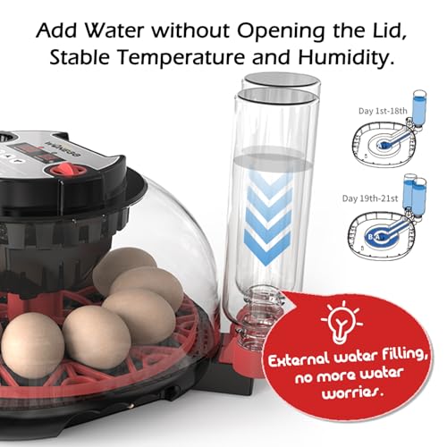 Smart Chicken Incubators for Hatching Eggs with Automatic Turner Small Poultry Duck Quail 12 Egg Incubator Temperature Control Display Hatcher Machine (M12 Pro) - color: M12 Pro