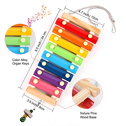 8PCS Chicken Toys for Coop Accessories, Chicken Swing, Xylophone, Mirror, Vegetable Hanging Feeder, Fruit Rack for Poultry Rooster Large Bird Parrot Lovers’ Entertainment Gift