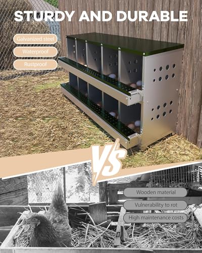 Chicken Nesting Box for Laying Eggs, 10-Compartment Galvanized Steel Nesting Boxes for Hens, Front Access Egg Tray, Easy Wall Mount Design, Includes 10 Training Eggs - color: Green