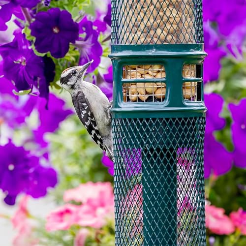 Squirrel Buster Nut Feeder Squirrel-Proof Bird Feeder for Shelled Peanuts & Dried Fruit, Weight-Adjustable, Woodpecker Friendly, 1.3lb Capacity with 2 Interchangeable Meshes | For shelled peanuts and dried fruit, weight-adjustable, woodpecker friendly, tw