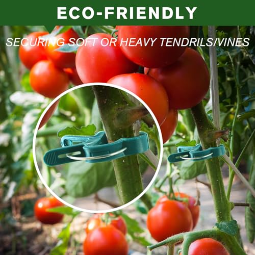 Plant Clips for Climbing Plants, Garden Support for Tomatoes & Vine - size: 120 Big