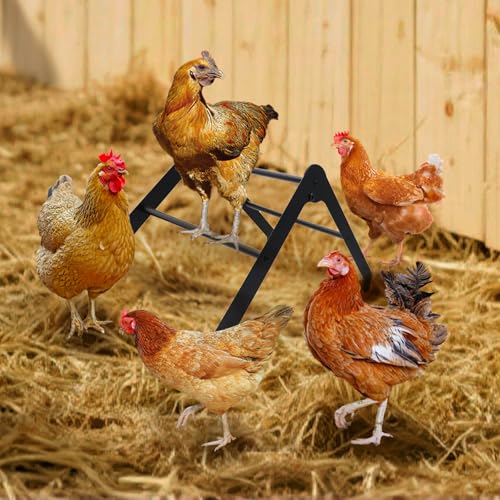 Chicken Roosting Bars, Metal Chicken Perch with Metal Stand, Roosting Bars for Chickens in Coop, Chicken Coop Accessories, Chicken Enrichment Toys