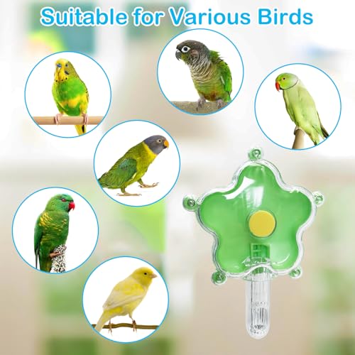 BNOSDM Bird Foraging Toys Cockatiel Foraging Wheel Parrot Cage Spinning Toys Parakeet Enrichment Puzzle Feeder Toy for Budgies Lovebirds Canaries (Green) - color: Green