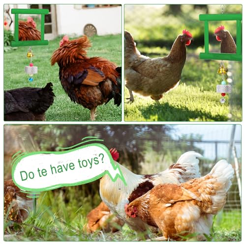 Chicken Mirror Toys with Bells, Hanging Swing Mirror, Wooden Pecking Toy, Beak Grinding Molar Stones for Hens, Birds, Parrots, Xylophone, Sepak Takraw Toy