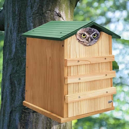 Owl House, 13.5x9.5 Inch Owl Nesting Box for Outside with Mounting Screws and Wood Shavings, Cedar Screech Owl House, Bird Boxes for Wildlife Lovers - style: Standard