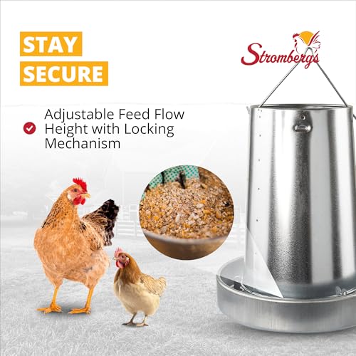 Stromberg's Metal Hanging Poultry Feeder, Galvanized Heavy Duty Steel, Holds 44 lbs, Rolled Edges for Safety, Secure Feed Flow Lock, Versatile Use Free Standing or Hanging