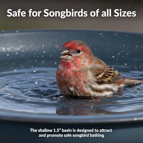 Sunnydaze Modern Bird Bath for Outside, Iron, 23” H, Matte Blue | UV & Rust-Resistant Matte Finish, Durable Iron,1 Gal Water Cap, Outdoor Birdbath for Garden, Pedestal Bird Bath with Bowl - color: Matte Blue