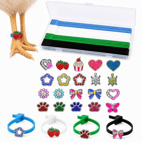 Adjustable Chicken Leg Bands with Charms, Reusable Quick-Release Tags | 40 Reusable Leg Bands with Quick-Release Buttons and 20 Charms for Chickens, Ducks, Geese & Turkeys, Includes Storage Box