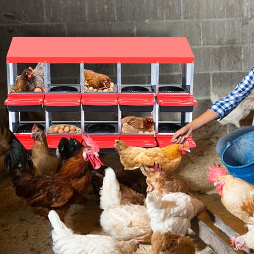 Chicken Nesting Box, Red 10 Hole Chicken Laying Box, Tray for Easy Egg Collection, Large Holes for Ventilation, Suitable for Chickens & Ducks - color: Red, size: 59.1"L x 23.6"W x 35.4"H