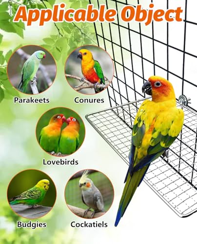 BNOSDM 2 Pack Bird Perch Platform Stainless Steel Birds Perches Parrot Shelf Training Stand Small Animals Cage Accessories for Parakeets, Budgies, Conures, Cockatiels, Lovebirds (L)