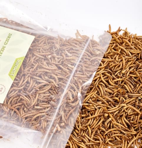 SANSECT 10LB Dried Mealworms for Chickens, Ducks, Wild Birds, Reptile Food | High Protein Treats, 100% Natural, Non-GMO Mealworms for Chickens, Ducks, Turtles and Reptiles and Laying Hens - size: 10 Pound (Pack of 1)