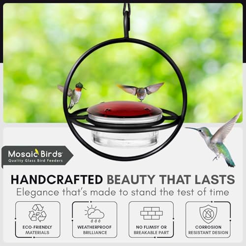 Hummingbird Feeder for Outdoors Hanging, 3.4 OZ Hummingbird Feeders, Glass Bowl with 4 Feeding Ports, Leak Proof Lid & Circular Perch, Bird Feeder (1, Black) - color: Black