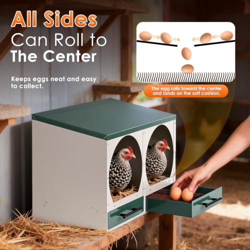 Chicken Nesting Box Roll Away Nest Boxes for Laying Hens 2 Compartments | Metal Nest Box for Chickens with Egg Collection Drawer & Lid Wall-Mounted Chicken Laying Boxes Perfect for Backyard and Farms