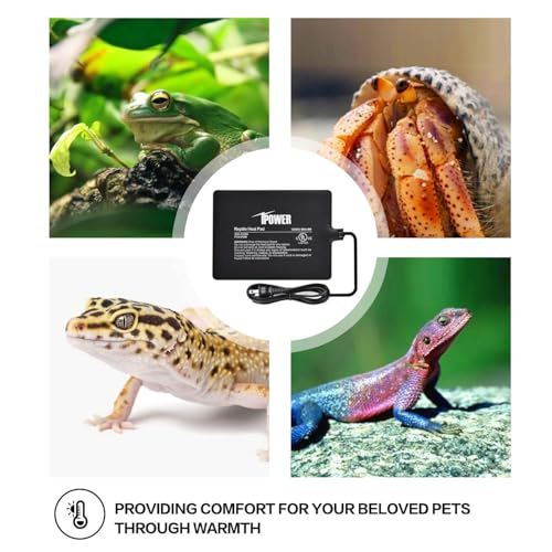 iPower 6x8 Inch Reptile Heat Pad Under Tank Heater, Energy-Efficient & Waterproof Design Terrarium Warmer Mat for Turtles, Lizards, Snakes, 2 Pack - size: 6 X 8 Inch, style: 2 Pack Heat Pad