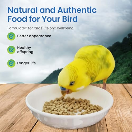 Harrison's Bird Foods Adult Lifetime Certified Organic Non-GMO Formula Small Bird Food 1lb - size: 1 Pound (Pack of 1)