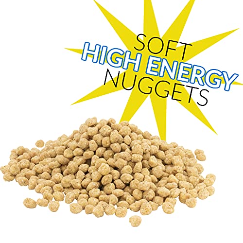 C&S Woodpecker Suet Nuggets Single Packs, 27 oz, None (Pack of 2) - size: 1.69 Pound (Pack of 2)