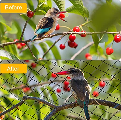 BSTPCOO Bird Net 25'x25' with 2.4" Square Mesh Bird Netting for Chicken Coop Roof, Poultry Netting Heavy Duty Nylon for Garden, Chicken Netting Fruit Tree Netting, Hawk Netting for Chicken Run | Heavy Duty Nylon Poultry Netting for Garden, Chicken Netting