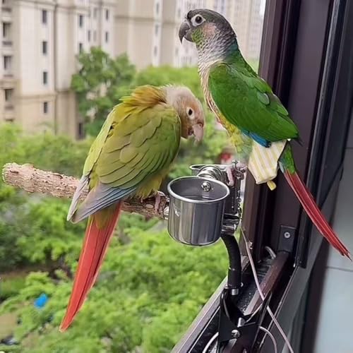 Bird Perch Stand with Clip and Food Bowl for Trash Can, Adjustable & Portable Parrot Stand, Bendable Bird Training Perch for Cockatiels, Conures, Lovebirds and Medium & Small Parrots