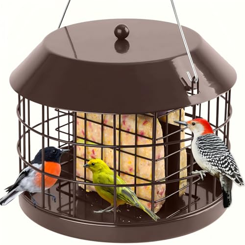 Gbekery Caged Suet Bird Feeder for Outdoors Hanging, Squirrel Proof Double Suet Feeder for Small Birds, Metal Cage with Detachable Hook, Large Space, Outdoors Weatherproof, Brown - style: Brown Suet Cage