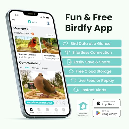 Smart Bird Feeder with Camera, Solar Powered, 2K Live Stream, Bamboo Bird Feeder with Metal Guard, AI Bird Identification with 7-Day Trial, Auto-Recorded Videos, Gift for Bird Lovers - style: BamG AI 7-day trail